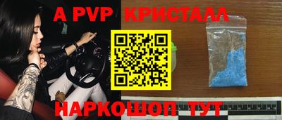тгк Бийск